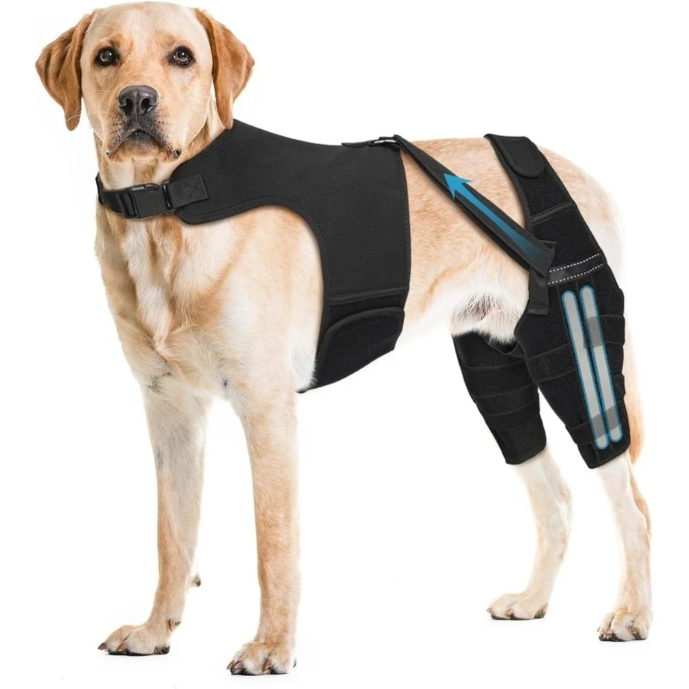 Adjustable‎ Dog Knee Brace for Back Leg Injuries ACL-CCL Support Size XXL